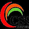 CSS GI